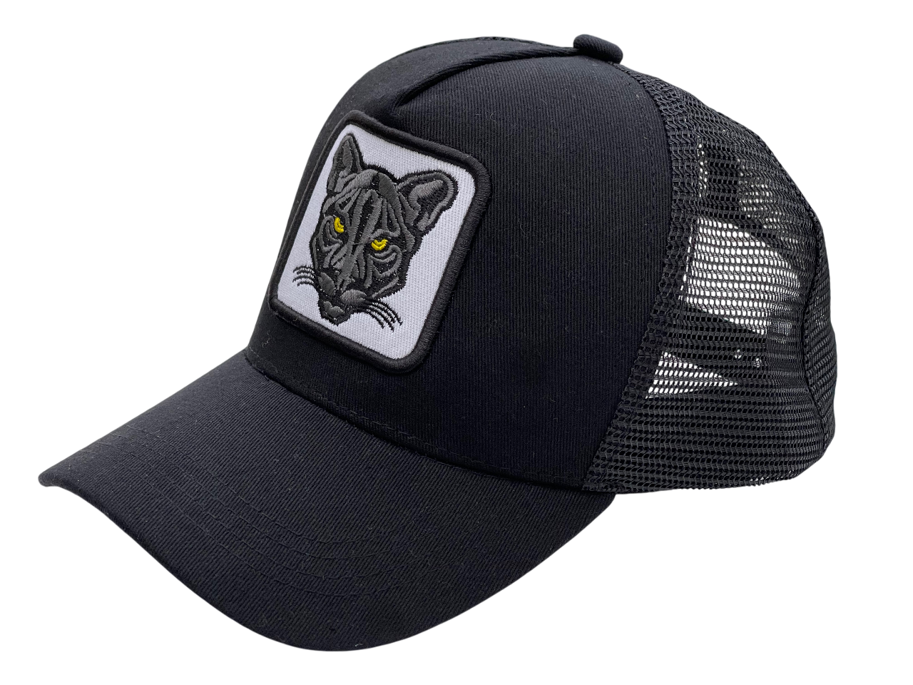 The Shadow Puma Cap